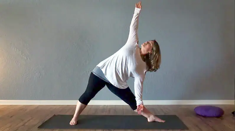 Yoga Triangle Pose